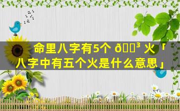 命里八字有5个 🐳 火「八字中有五个火是什么意思」